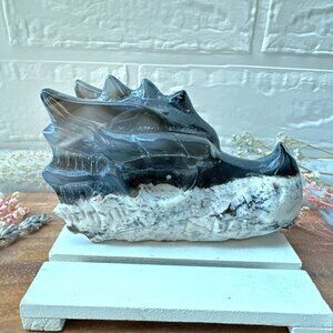 Gorgeous Volcano Agate Dragon Head/Skull Carving